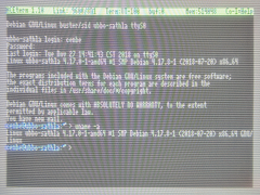 Linux login in ACE terminal