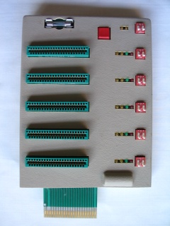 CardBoard/5