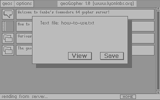 text file view or save dialog