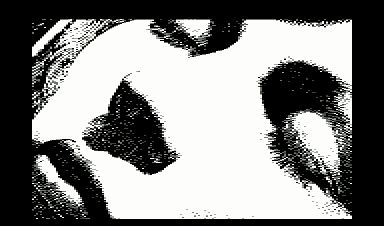 The Resulting Picture