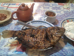 gurameh besar