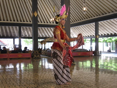 palace dancer