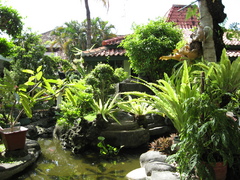 Peti Mas garden